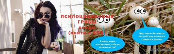 спайс Аркадак