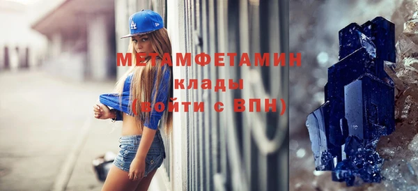 индика Арсеньев