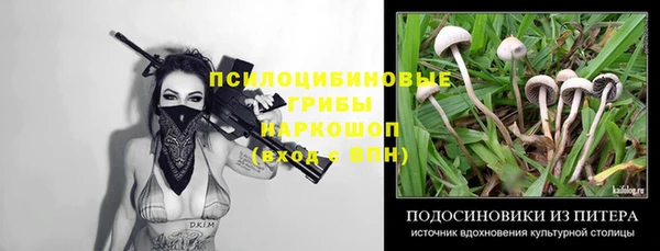 индика Арсеньев