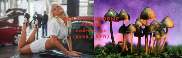 индика Арсеньев