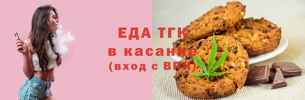 индика Арсеньев