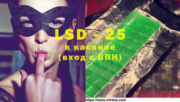 спайс Аркадак