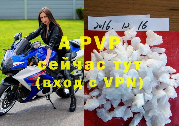 прущие крисы Балахна
