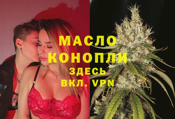 индика Арсеньев