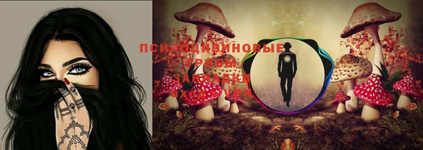 прущие крисы Балахна