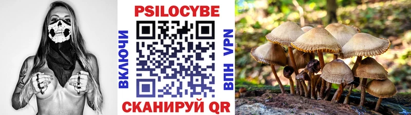 Галлюциногенные грибы прущие грибы Чернушка