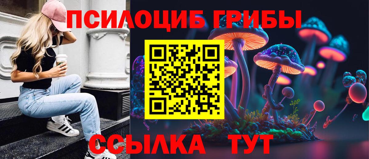 Галлюциногенные грибы прущие грибы Чернушка