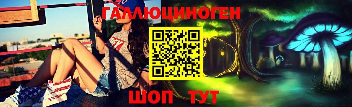Галлюциногенные грибы Psilocybe  Вход с VPN  Чернушка 